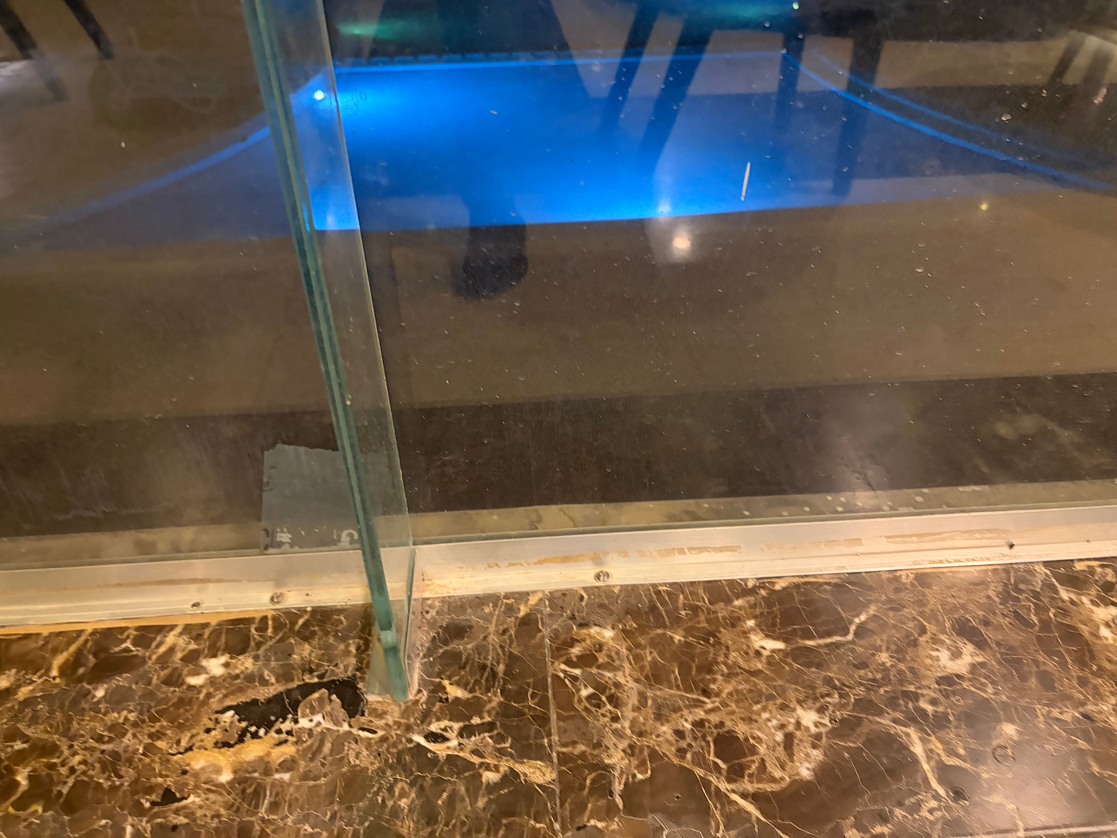 Reception area — owner photo