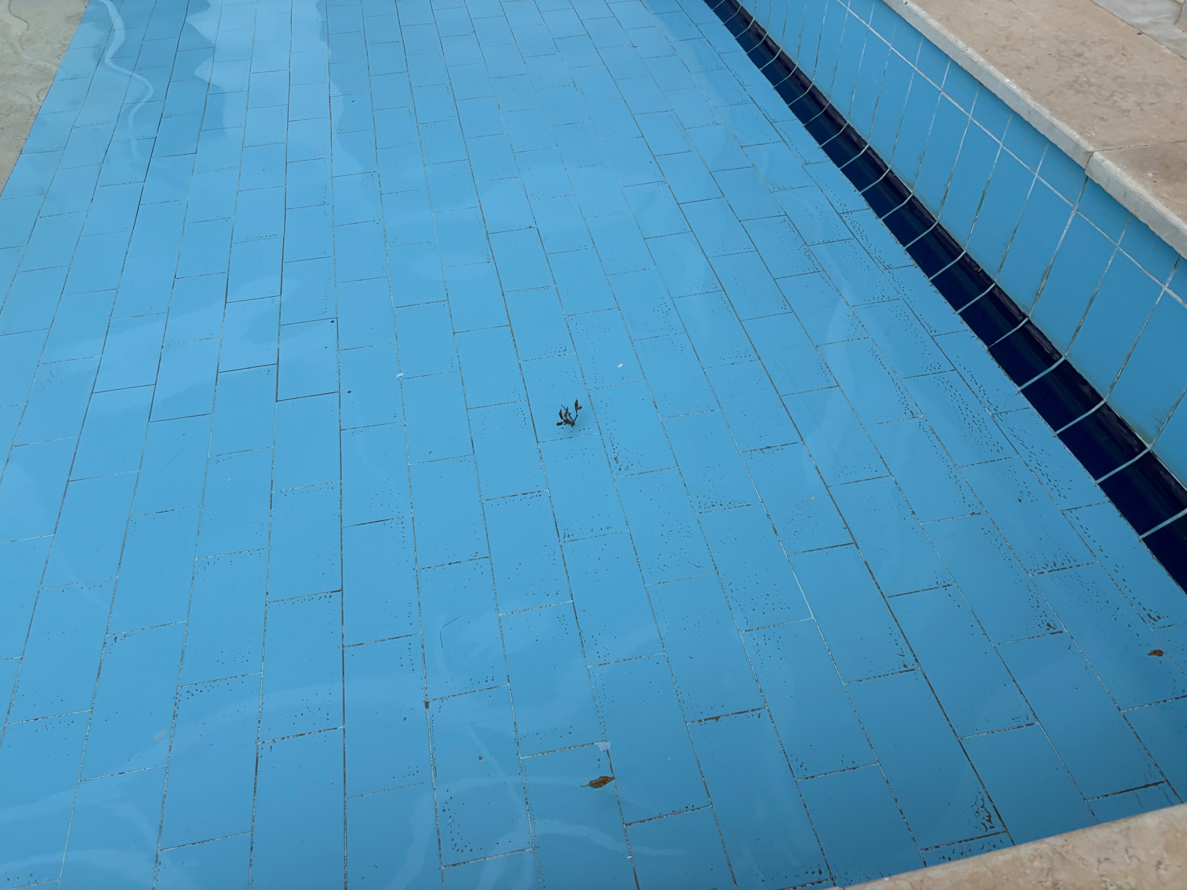 Pool area — owner evidence photo 1