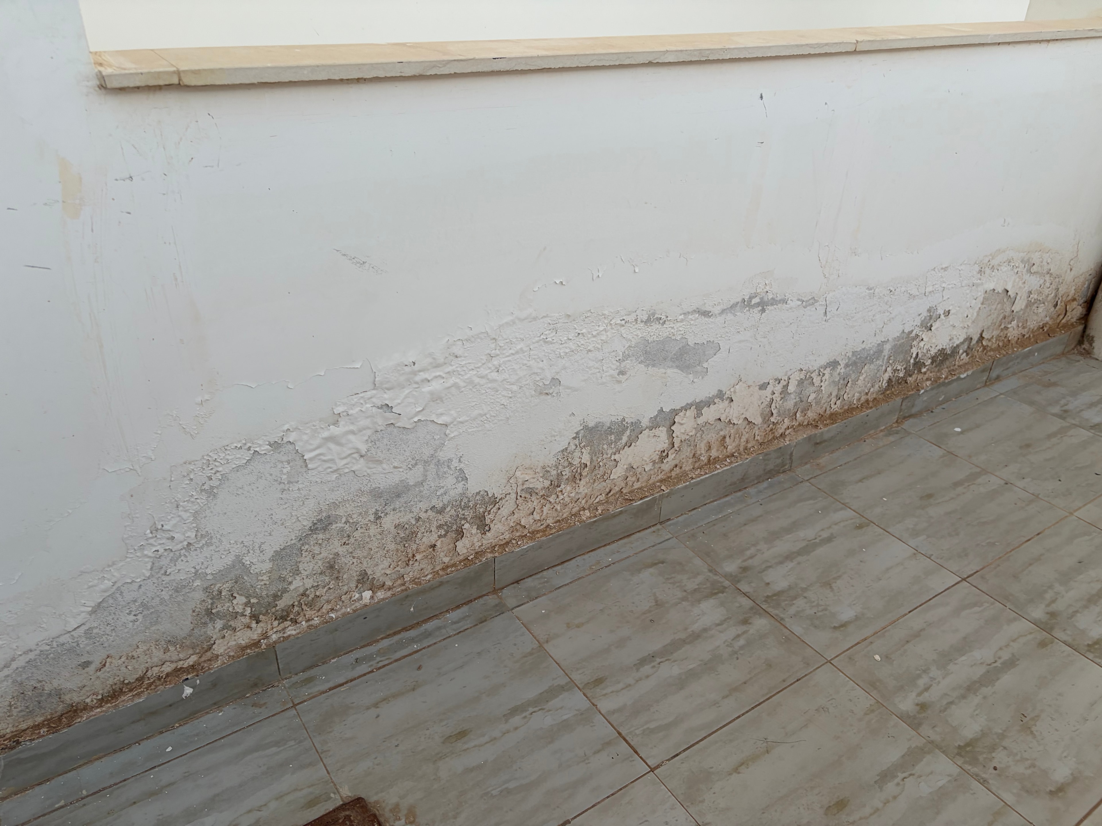 Same corner, wider shot — full band of crumbling render running along the wall/ceiling junction, scale of failure across the entire wall surface visible