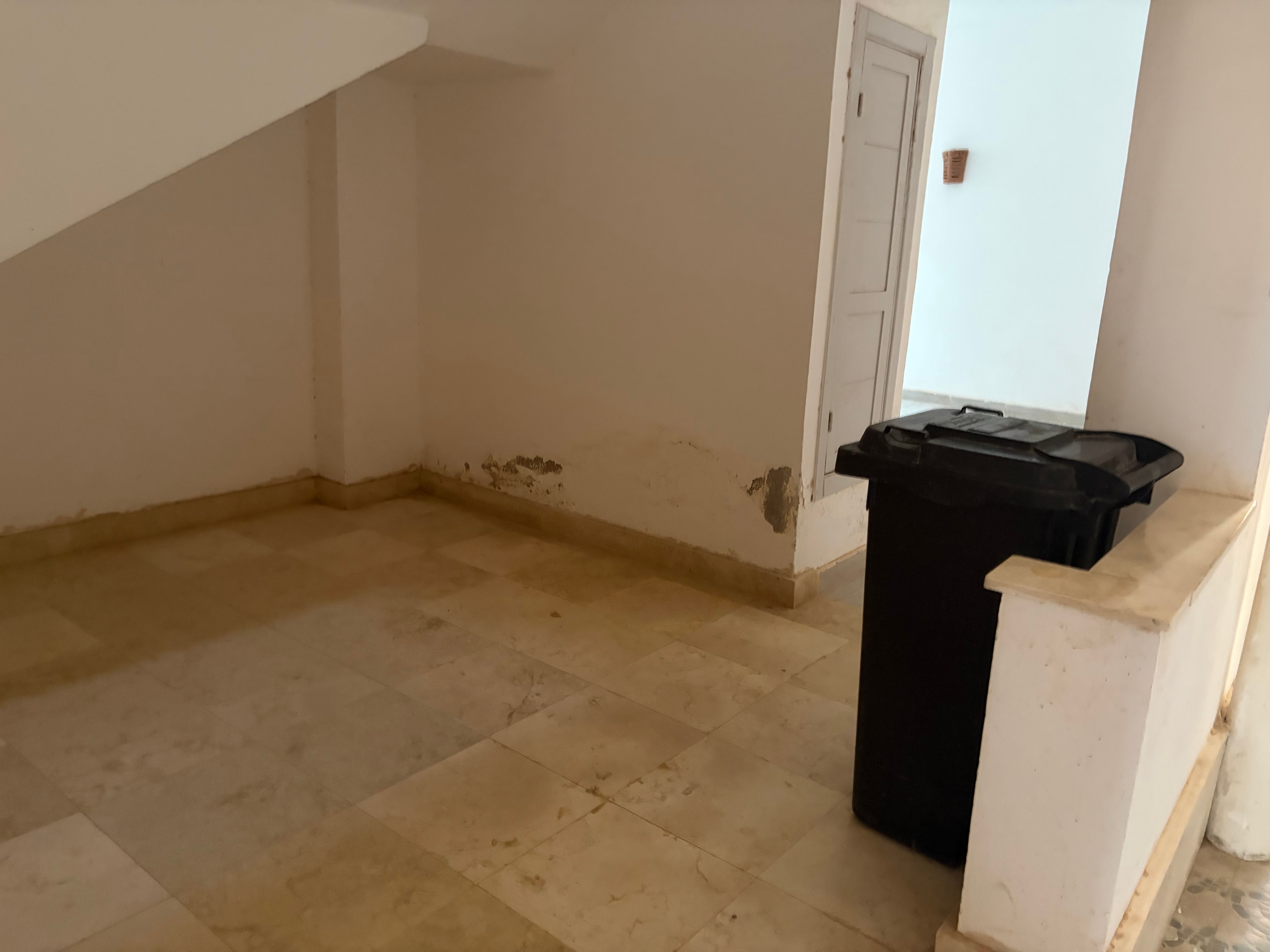 Render failure with black bin second angle — ceiling/wall junction render failure continuing, black wheelie bin visible, doorway open to outside light, tiled ceiling heavily stained