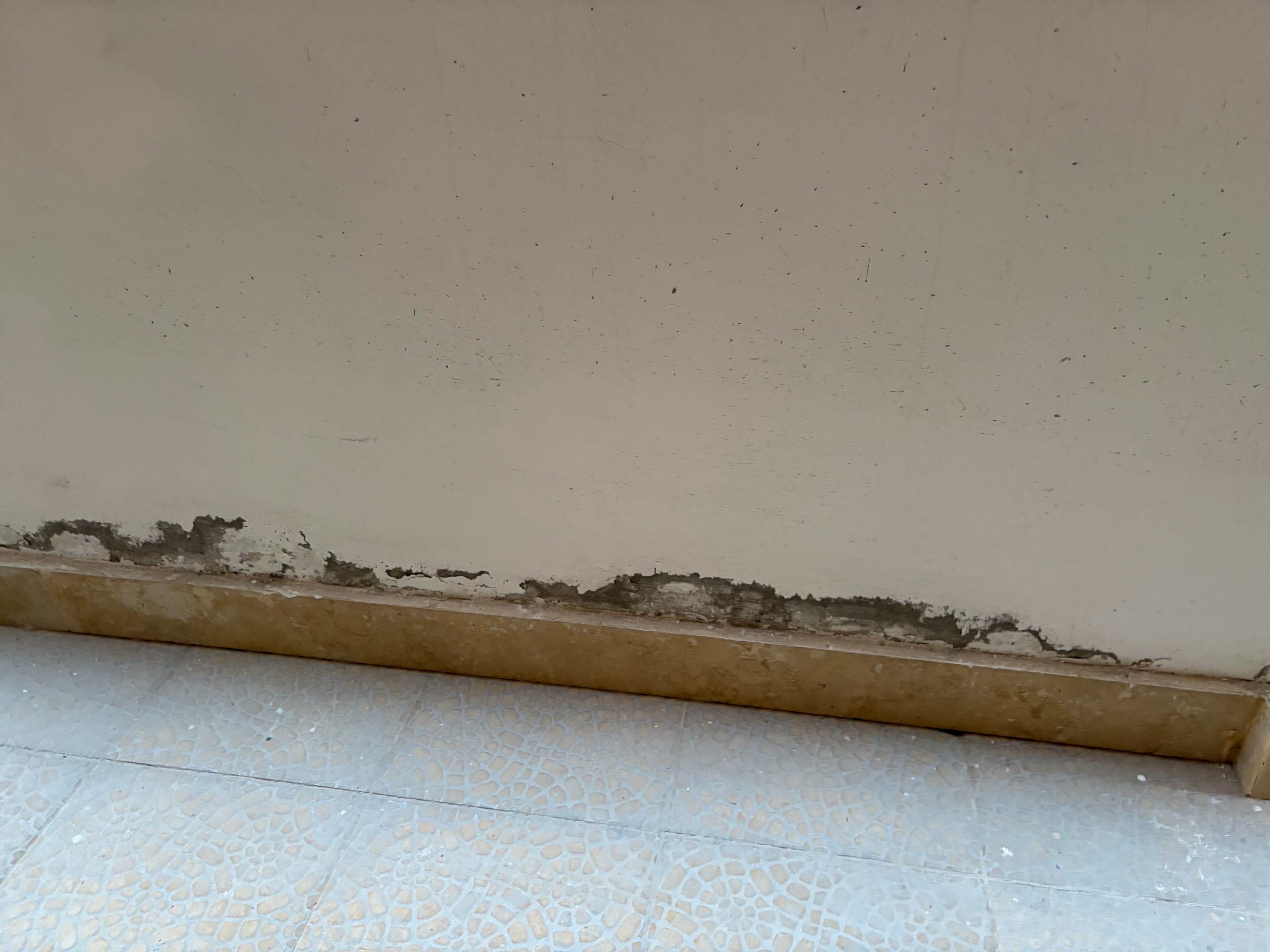 Render failure close-up — render completely blown and crumbling at ceiling junction, pebble-pattern ceiling tile above, render falling in chunks exposing raw substrate