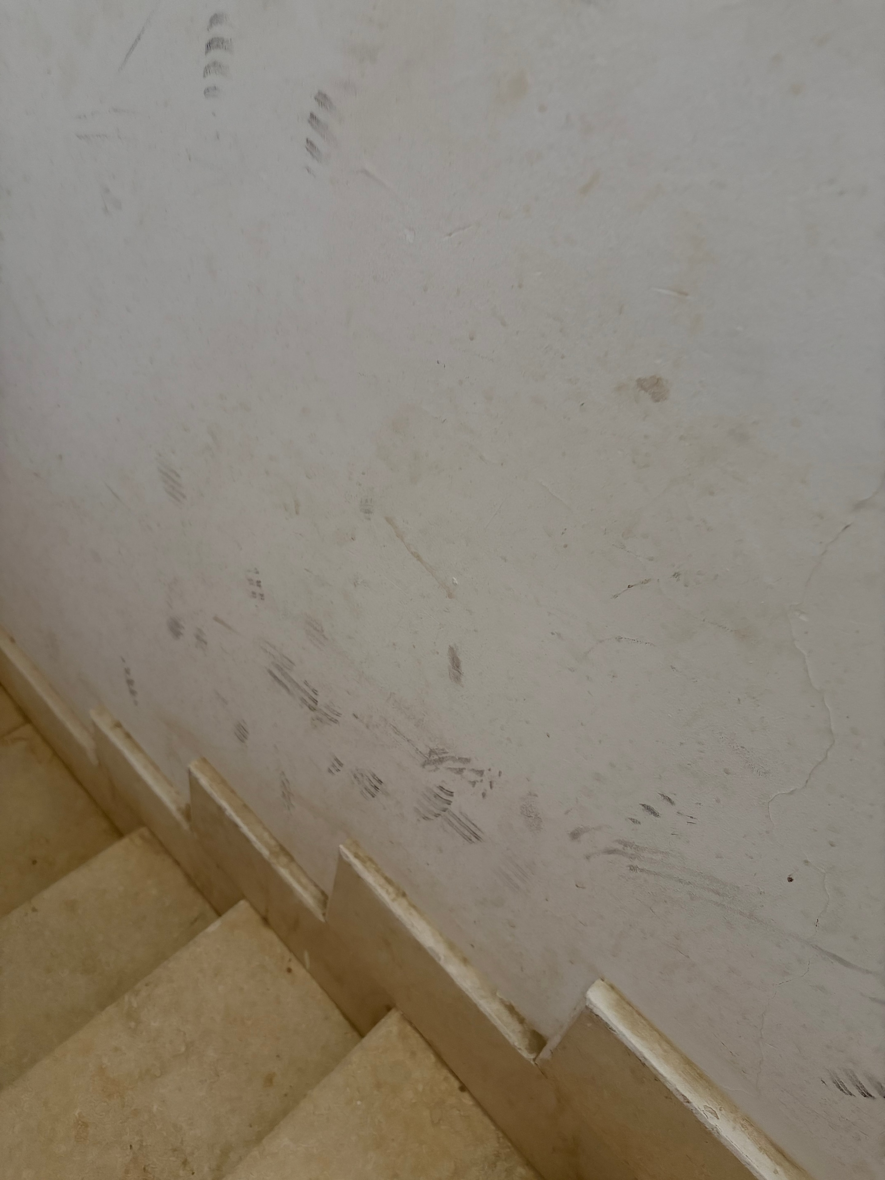 White ceiling covered in extensive dirty marks, smears, handprints and scuff marks across the entire surface — completely filthy and unattended communal area