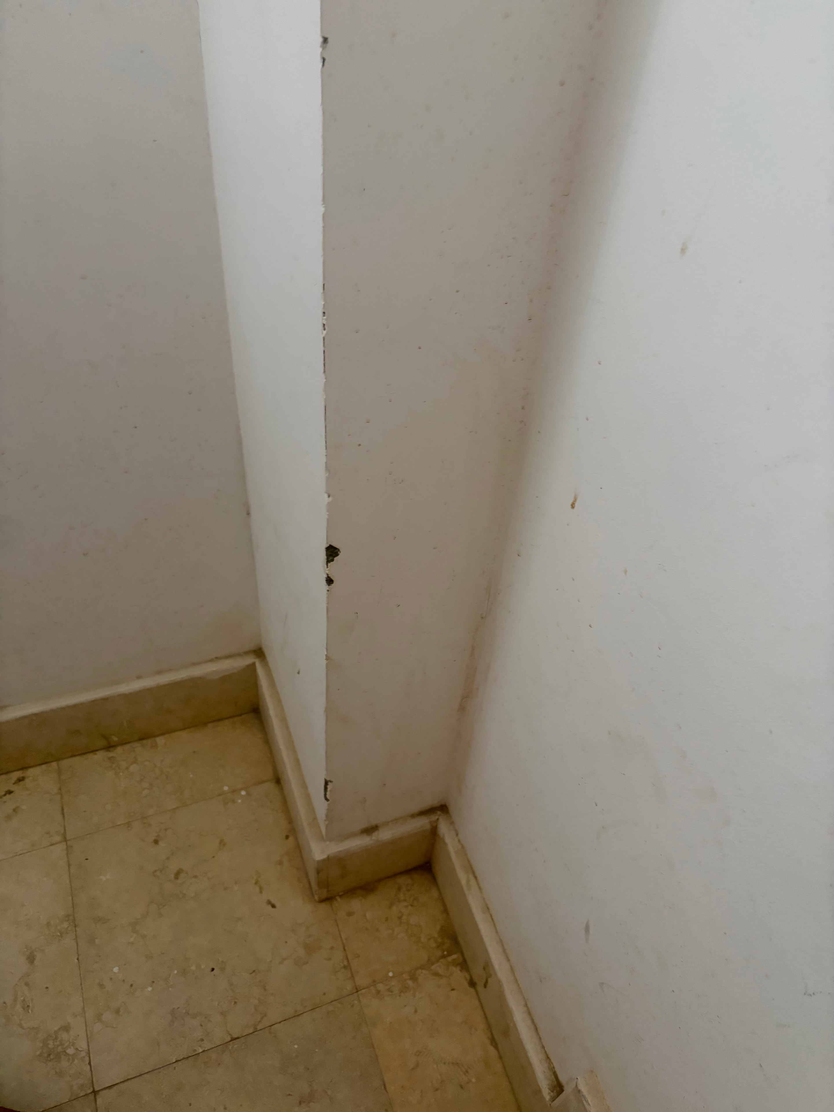 White ceiling above travertine ledge — ceiling surface dirty and marked, small dark lumps of debris or droppings sitting on top of the ledge, never cleaned